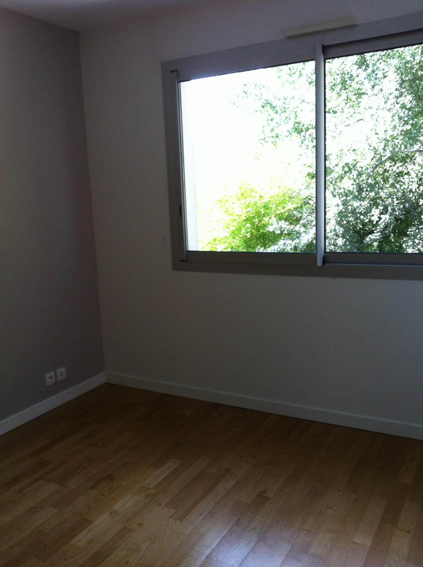 photo_622a340044e4a3ab4f0e26b8bf3f5554-24049