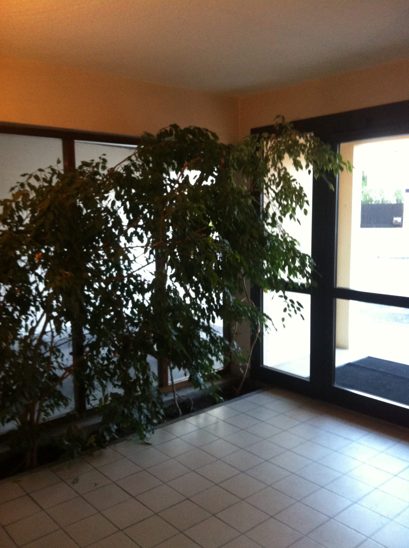 photo_c9203e52ac4ef307e82efe2d33a8f367-24040