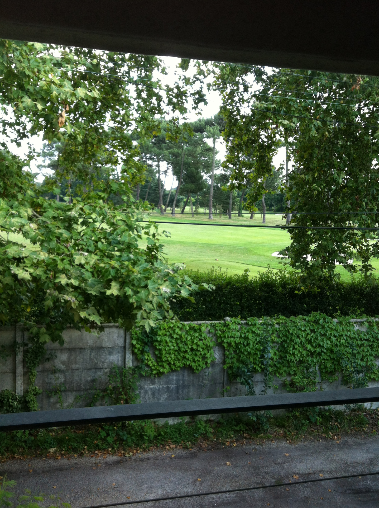 photo_f0dfe429079ad7a921fc83b754ef63e1-24049